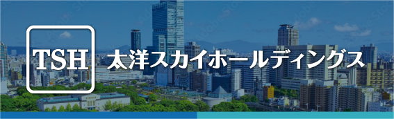 太洋スカイホールディングス株式会社